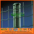 Euro Wire Mesh Fence (1.8X30m/ 2X30m)